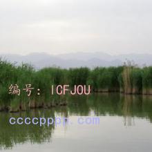 Ŀ
