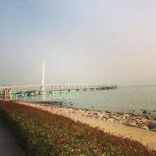 ˲