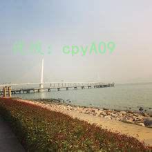 ֳ